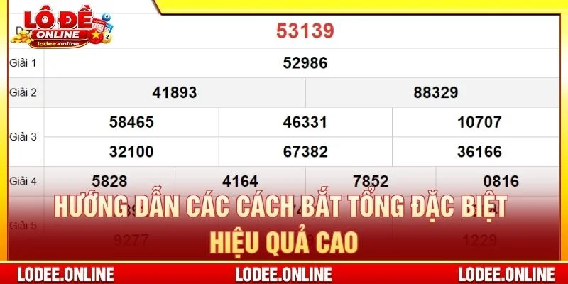 Hướng dẫn các cách bắt tổng đặc biệt hiệu quả cao