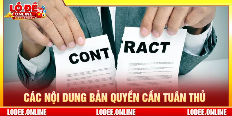 Trách nhiệm của hội viên trong hoạt động trên nền tảng